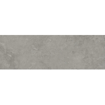 EXPANSE - 31X96 DYN, RISTORI GRAY, MATTE